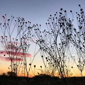 Meet your Posher, Tang